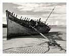Shipwreck, 2000